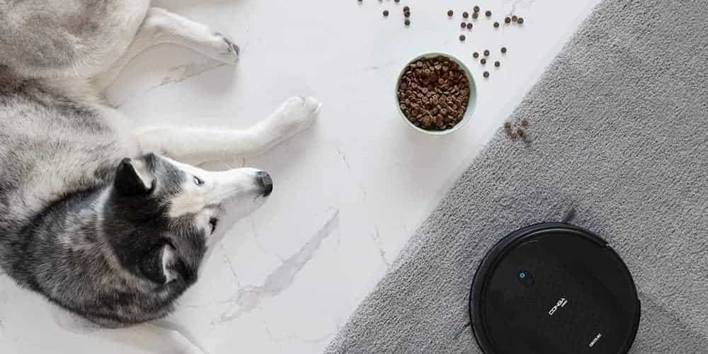 Robot aspirador especial para mascotas